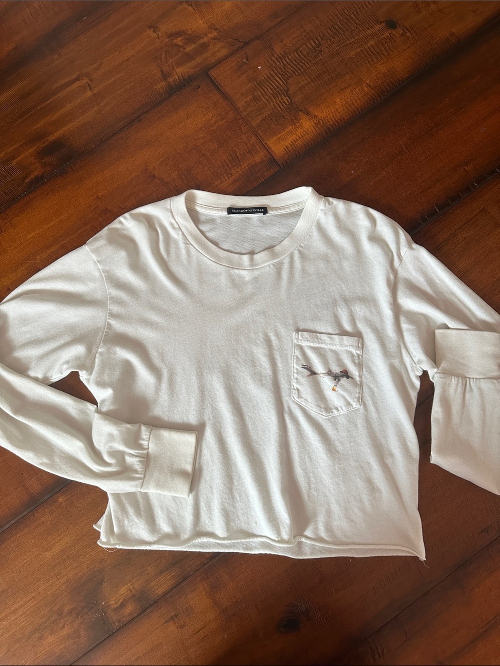 Like New Brandy Melville Long Sleeve Shark Tee